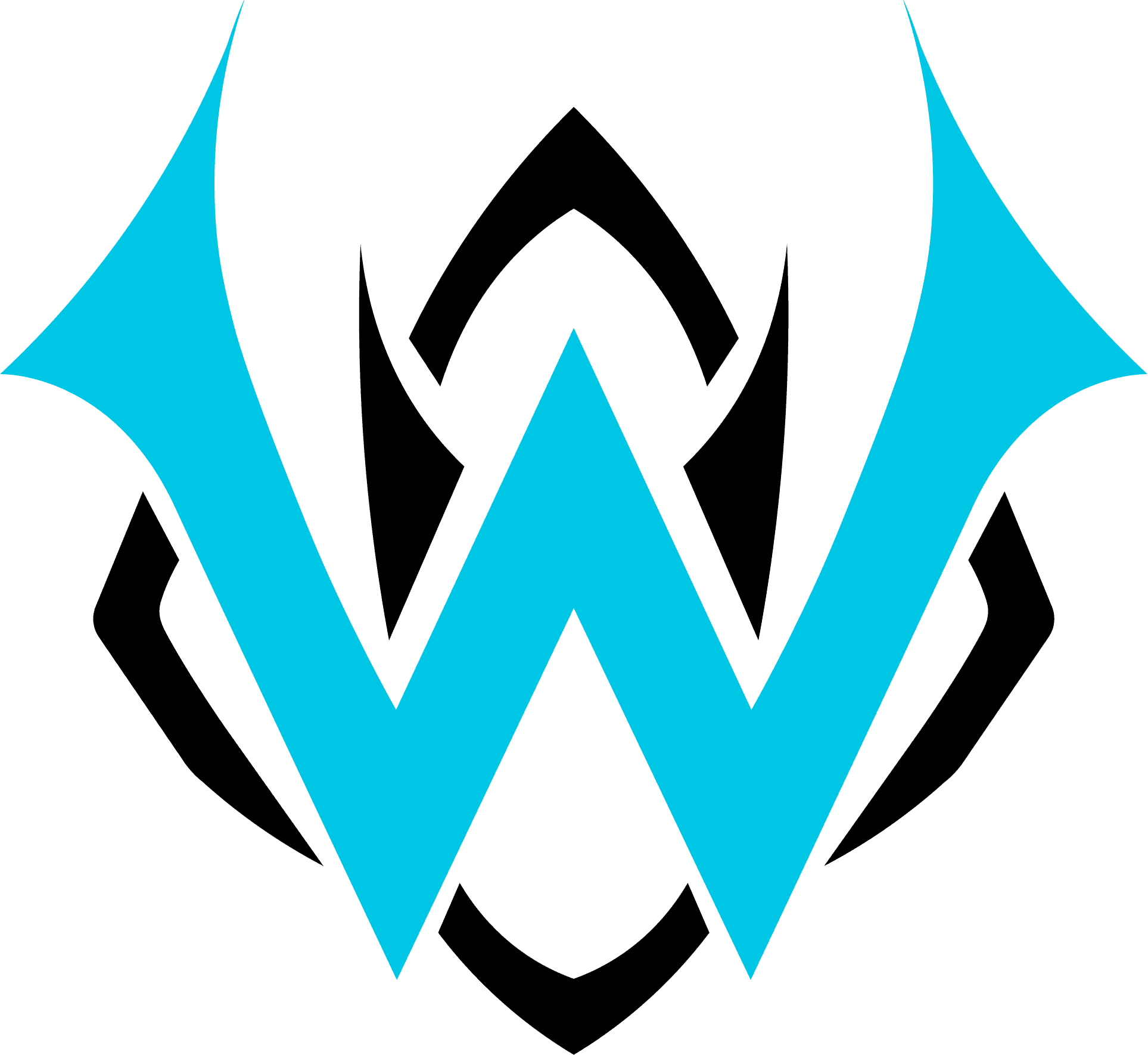 Winsent Flat Logo